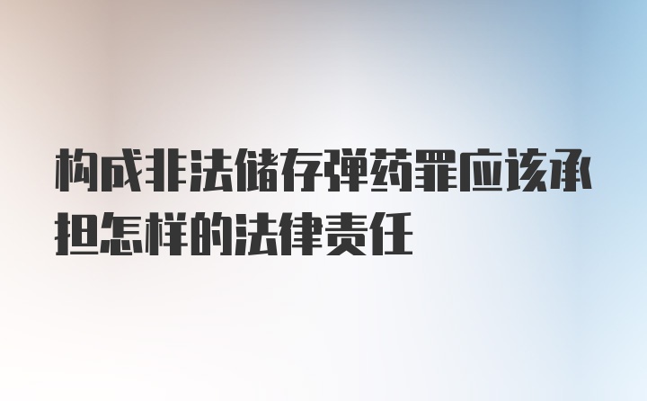 构成非法储存弹药罪应该承担怎样的法律责任