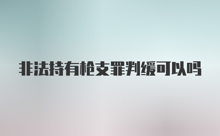 非法持有枪支罪判缓可以吗