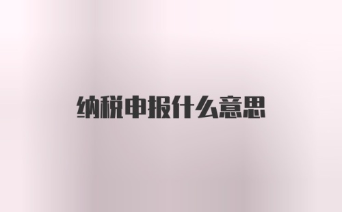 纳税申报什么意思