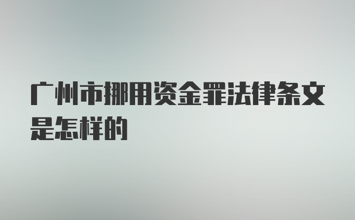 广州市挪用资金罪法律条文是怎样的