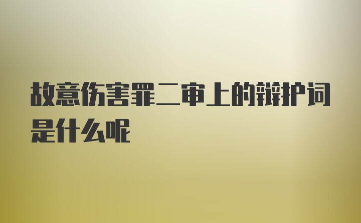 故意伤害罪二审上的辩护词是什么呢