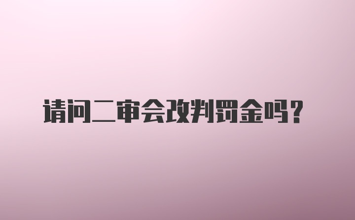 请问二审会改判罚金吗？