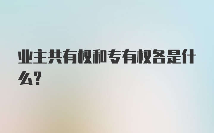 业主共有权和专有权各是什么？