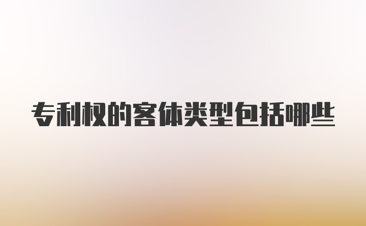 专利权的客体类型包括哪些