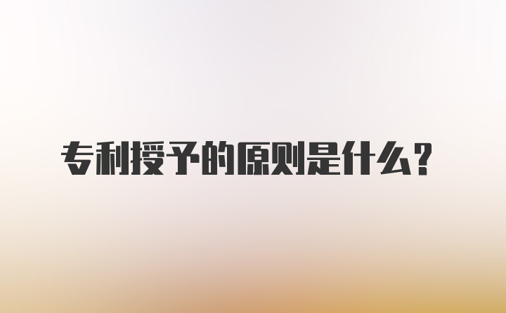 专利授予的原则是什么？