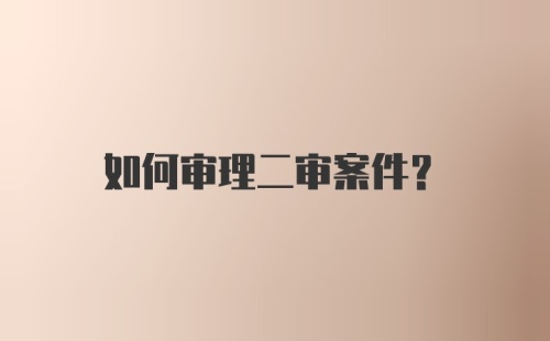 如何审理二审案件?