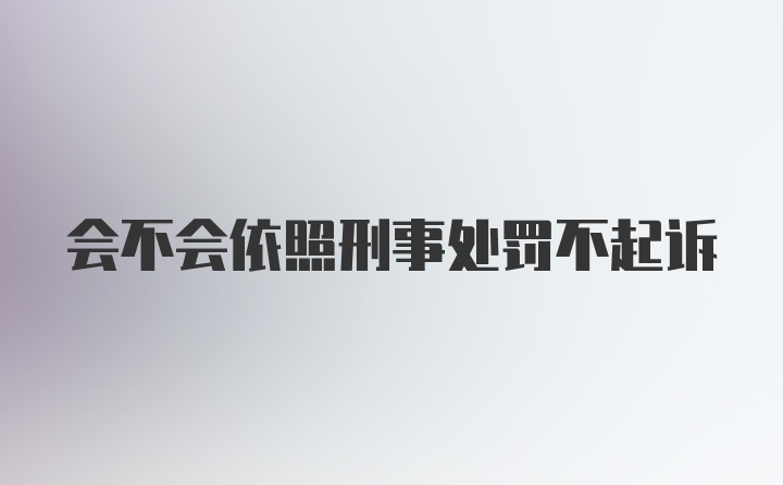 会不会依照刑事处罚不起诉