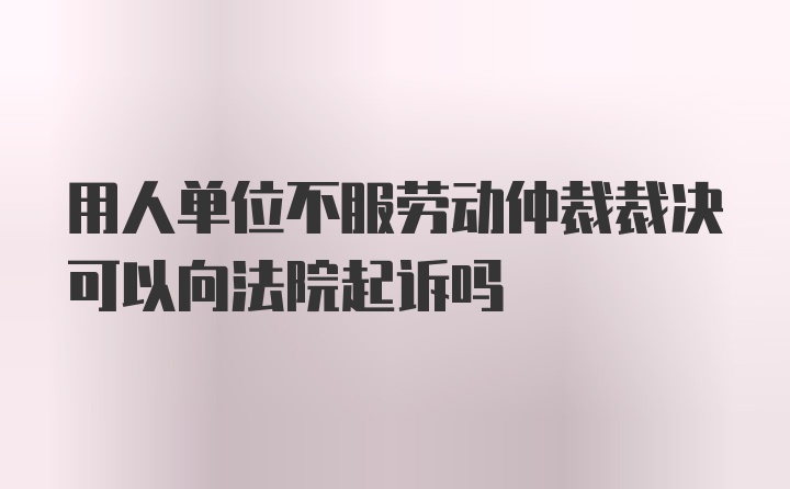 用人单位不服劳动仲裁裁决可以向法院起诉吗