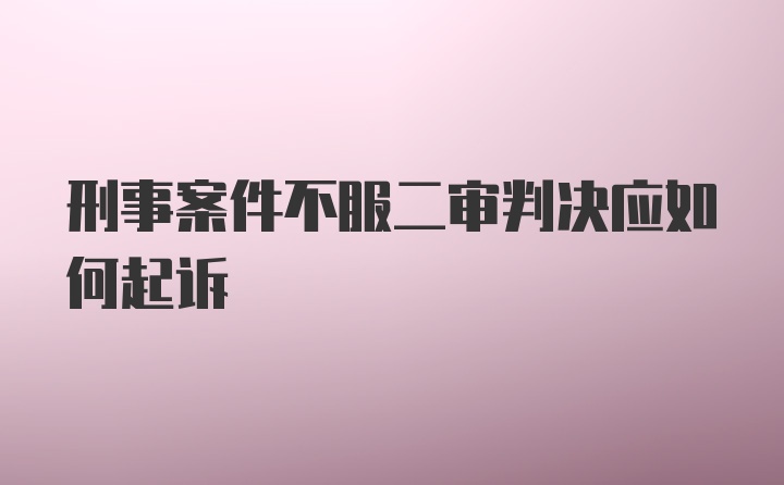 刑事案件不服二审判决应如何起诉