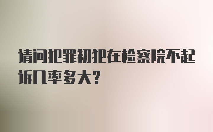 请问犯罪初犯在检察院不起诉几率多大？