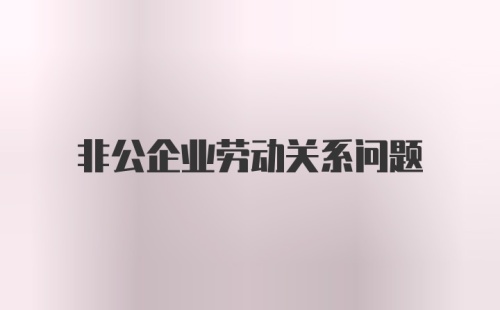 非公企业劳动关系问题