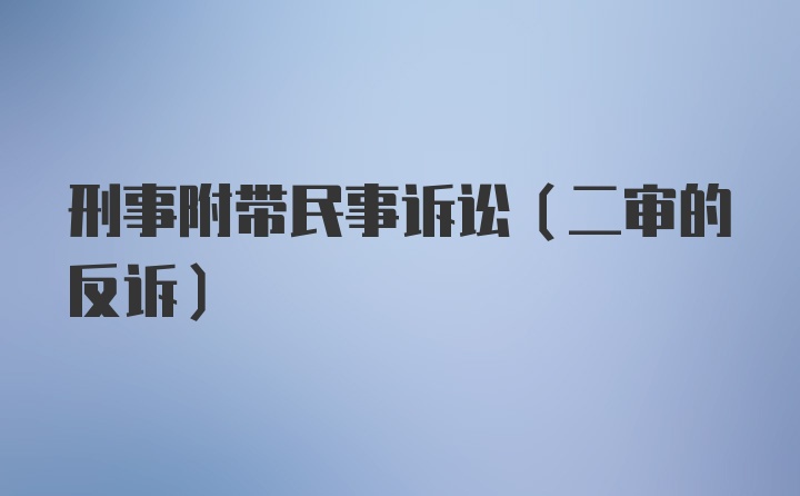 刑事附带民事诉讼(二审的反诉)