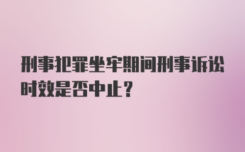 刑事犯罪坐牢期间刑事诉讼时效是否中止？