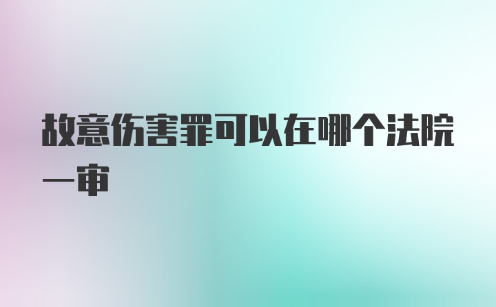 故意伤害罪可以在哪个法院一审