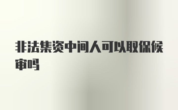 非法集资中间人可以取保候审吗