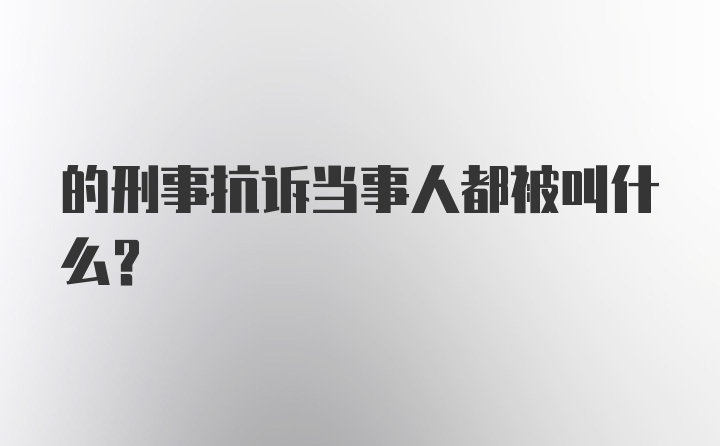 的刑事抗诉当事人都被叫什么？