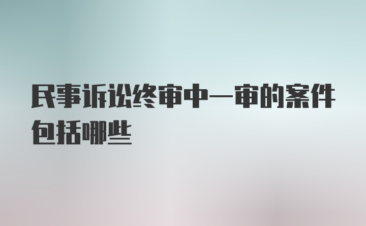 民事诉讼终审中一审的案件包括哪些