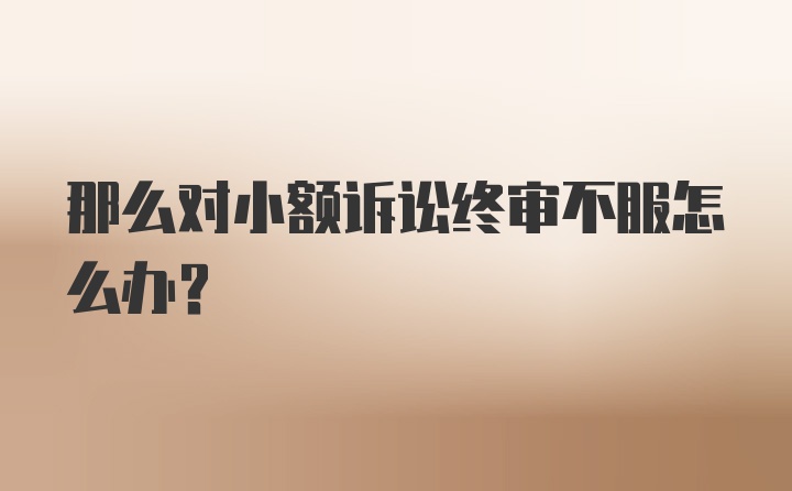 那么对小额诉讼终审不服怎么办？