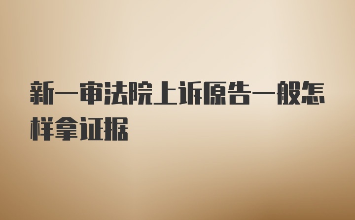 新一审法院上诉原告一般怎样拿证据