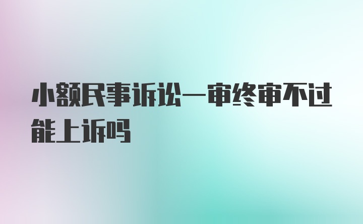 小额民事诉讼一审终审不过能上诉吗