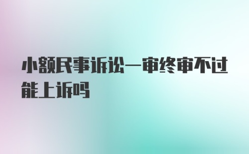 小额民事诉讼一审终审不过能上诉吗