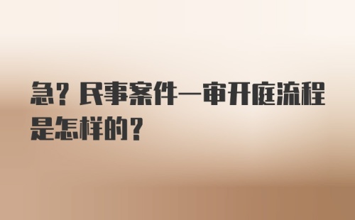 急?民事案件一审开庭流程是怎样的？