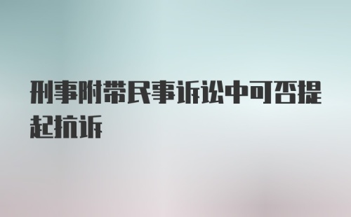 刑事附带民事诉讼中可否提起抗诉