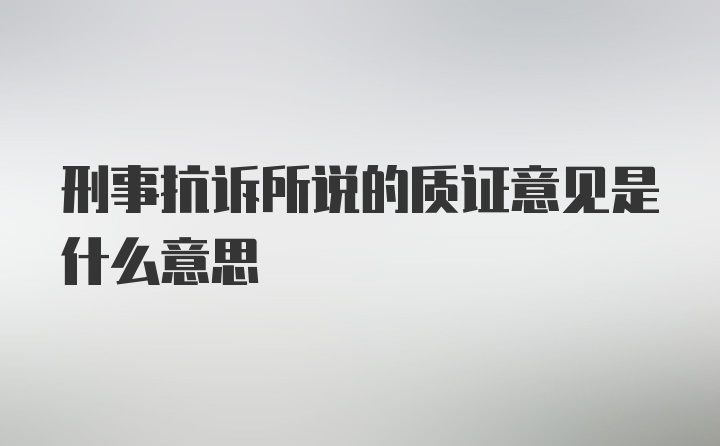 刑事抗诉所说的质证意见是什么意思