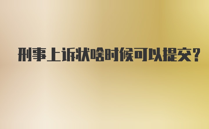 刑事上诉状啥时候可以提交？