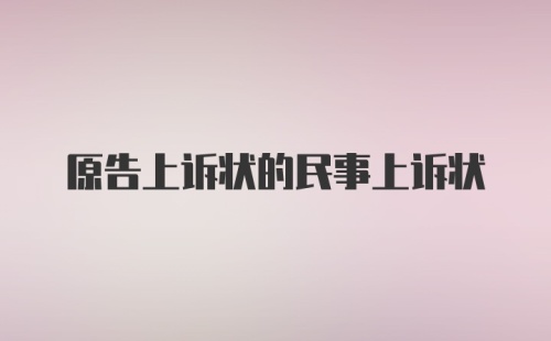 原告上诉状的民事上诉状