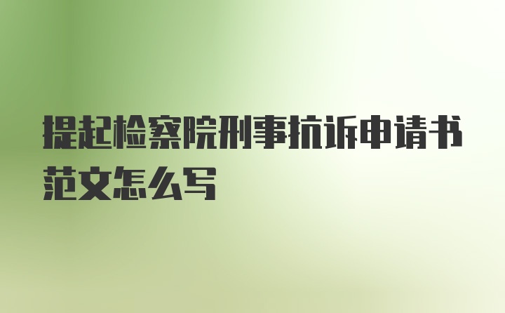 提起检察院刑事抗诉申请书范文怎么写