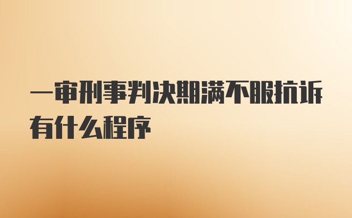 一审刑事判决期满不服抗诉有什么程序