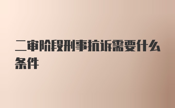 二审阶段刑事抗诉需要什么条件