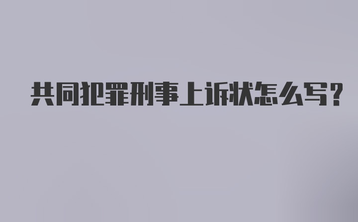 共同犯罪刑事上诉状怎么写?