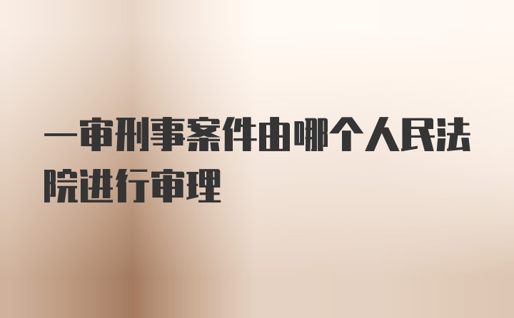 一审刑事案件由哪个人民法院进行审理