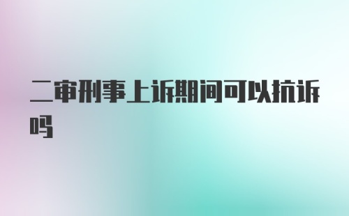 二审刑事上诉期间可以抗诉吗