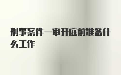 刑事案件一审开庭前准备什么工作