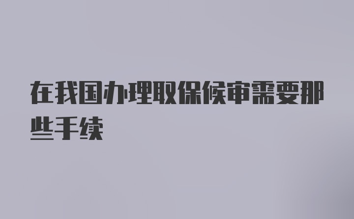 在我国办理取保候审需要那些手续