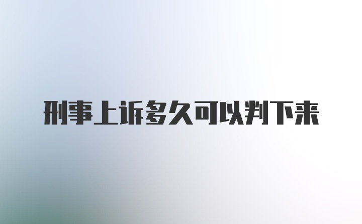 刑事上诉多久可以判下来