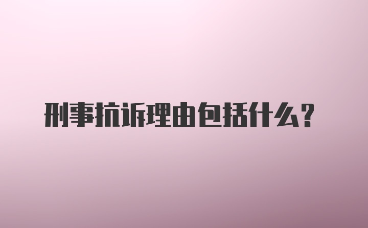 刑事抗诉理由包括什么?