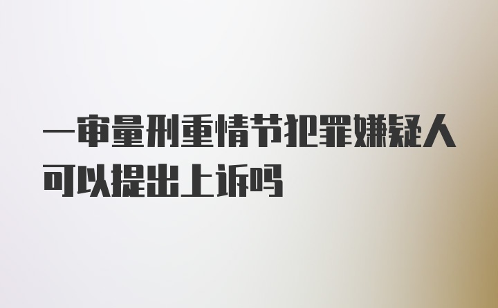 一审量刑重情节犯罪嫌疑人可以提出上诉吗