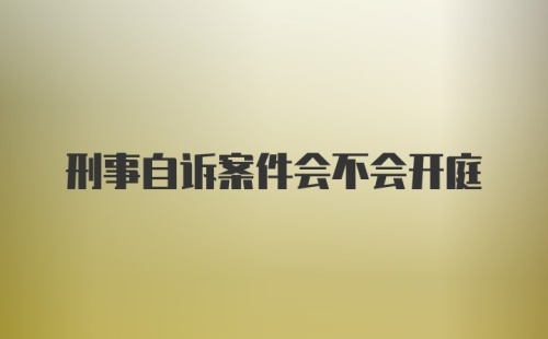 刑事自诉案件会不会开庭