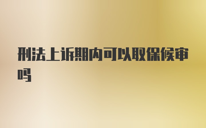 刑法上诉期内可以取保候审吗