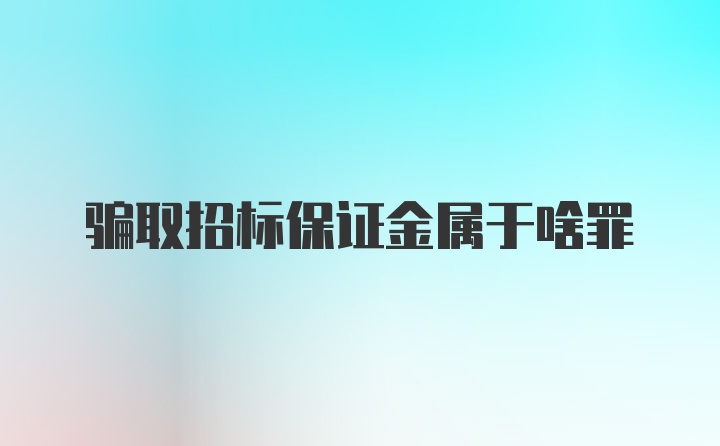 骗取招标保证金属于啥罪