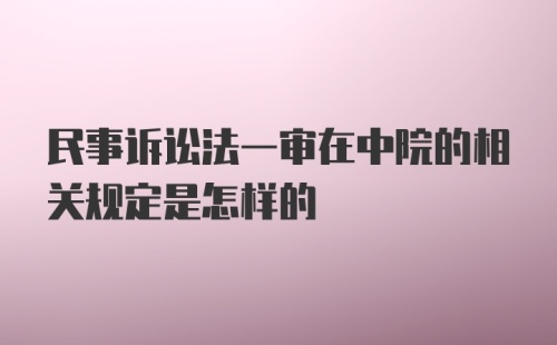 民事诉讼法一审在中院的相关规定是怎样的