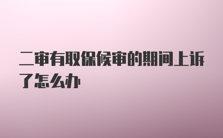 二审有取保候审的期间上诉了怎么办