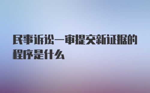 民事诉讼一审提交新证据的程序是什么