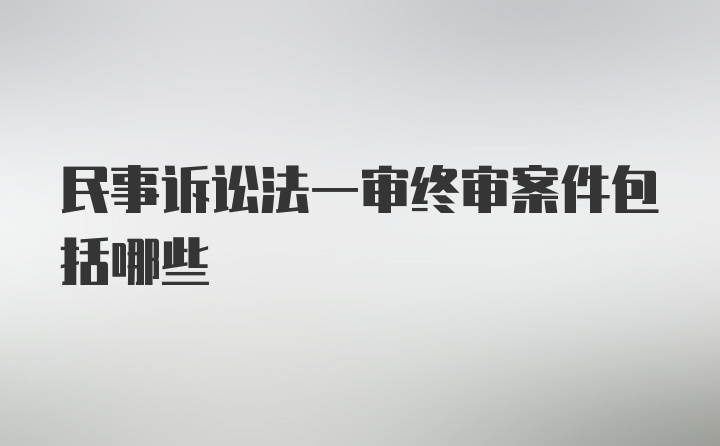 民事诉讼法一审终审案件包括哪些