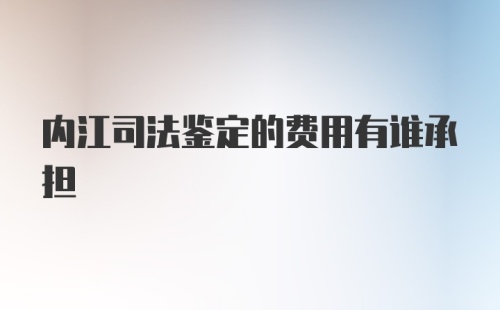 内江司法鉴定的费用有谁承担