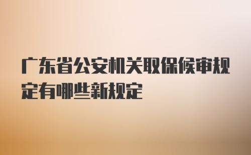广东省公安机关取保候审规定有哪些新规定